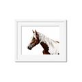 Picture of Spotted Horse _GroupedProduct_Rectangle_Landscape_Photography _GroupedProduct_Rectangle_Landscape_Framed_Matted_