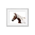 Picture of Spotted Horse _GroupedProduct_Rectangle_Landscape_Photography _GroupedProduct_Rectangle_Landscape_Framed_Matted_