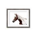 Picture of Spotted Horse _GroupedProduct_Rectangle_Landscape_Photography _GroupedProduct_Rectangle_Landscape_Framed_Matted_