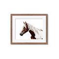Picture of Spotted Horse _GroupedProduct_Rectangle_Landscape_Photography _GroupedProduct_Rectangle_Landscape_Framed_Matted_