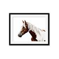 Picture of Spotted Horse _GroupedProduct_Rectangle_Landscape_Photography _GroupedProduct_Rectangle_Landscape_Framed_Matted_