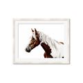 Picture of Spotted Horse _GroupedProduct_Rectangle_Landscape_Photography _GroupedProduct_Rectangle_Landscape_Framed_Matted_