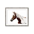 Picture of Spotted Horse _GroupedProduct_Rectangle_Landscape_Photography _GroupedProduct_Rectangle_Landscape_Framed_Matted_