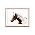Picture of Spotted Horse _GroupedProduct_Rectangle_Landscape_Photography _GroupedProduct_Rectangle_Landscape_Framed_Matted_