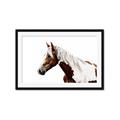 Picture of Spotted Horse _GroupedProduct_Rectangle_Landscape_Photography _GroupedProduct_Rectangle_Landscape_Framed_Matted_