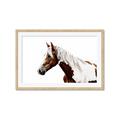 Picture of Spotted Horse _GroupedProduct_Rectangle_Landscape_Photography _GroupedProduct_Rectangle_Landscape_Framed_Matted_