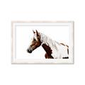 Picture of Spotted Horse _GroupedProduct_Rectangle_Landscape_Photography _GroupedProduct_Rectangle_Landscape_Framed_Matted_