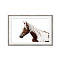 Picture of Spotted Horse _GroupedProduct_Rectangle_Landscape_Photography _GroupedProduct_Rectangle_Landscape_Framed_Matted_