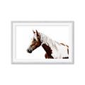 Picture of Spotted Horse _GroupedProduct_Rectangle_Landscape_Photography _GroupedProduct_Rectangle_Landscape_Framed_Matted_