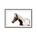 Picture of Spotted Horse _GroupedProduct_Rectangle_Landscape_Photography _GroupedProduct_Rectangle_Landscape_Framed_Matted_