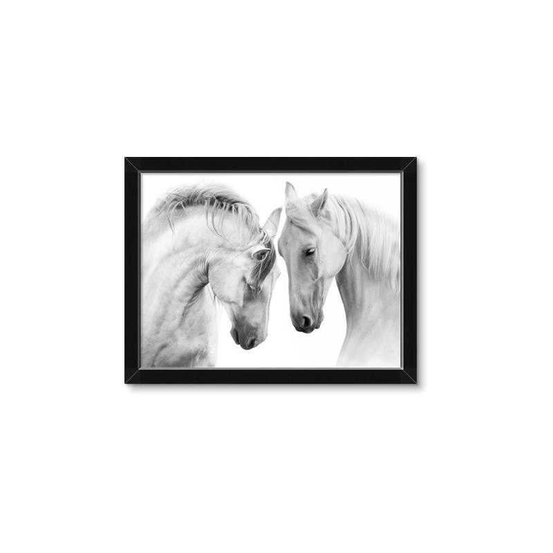 Picture of Face Off Horses _GroupedProduct_Rectangle_Landscape_Photography _GroupedProduct_Rectangle_Landscape_Framed_Matted_