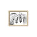 Picture of Face Off Horses _GroupedProduct_Rectangle_Landscape_Photography _GroupedProduct_Rectangle_Landscape_Framed_Matted_