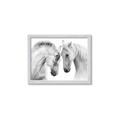 Picture of Face Off Horses _GroupedProduct_Rectangle_Landscape_Photography _GroupedProduct_Rectangle_Landscape_Framed_Matted_