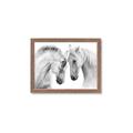 Picture of Face Off Horses _GroupedProduct_Rectangle_Landscape_Photography _GroupedProduct_Rectangle_Landscape_Framed_Matted_