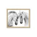 Picture of Face Off Horses _GroupedProduct_Rectangle_Landscape_Photography _GroupedProduct_Rectangle_Landscape_Framed_Matted_