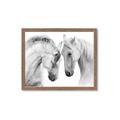 Picture of Face Off Horses _GroupedProduct_Rectangle_Landscape_Photography _GroupedProduct_Rectangle_Landscape_Framed_Matted_