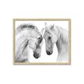Picture of Face Off Horses _GroupedProduct_Rectangle_Landscape_Photography _GroupedProduct_Rectangle_Landscape_Framed_Matted_