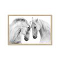 Picture of Face Off Horses _GroupedProduct_Rectangle_Landscape_Photography _GroupedProduct_Rectangle_Landscape_Framed_Matted_