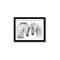 Picture of Face Off Horses _GroupedProduct_Rectangle_Landscape_Photography _GroupedProduct_Rectangle_Landscape_Framed_Matted_
