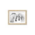 Picture of Face Off Horses _GroupedProduct_Rectangle_Landscape_Photography _GroupedProduct_Rectangle_Landscape_Framed_Matted_