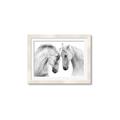 Picture of Face Off Horses _GroupedProduct_Rectangle_Landscape_Photography _GroupedProduct_Rectangle_Landscape_Framed_Matted_
