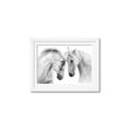 Picture of Face Off Horses _GroupedProduct_Rectangle_Landscape_Photography _GroupedProduct_Rectangle_Landscape_Framed_Matted_