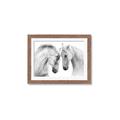 Picture of Face Off Horses _GroupedProduct_Rectangle_Landscape_Photography _GroupedProduct_Rectangle_Landscape_Framed_Matted_