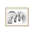 Picture of Face Off Horses _GroupedProduct_Rectangle_Landscape_Photography _GroupedProduct_Rectangle_Landscape_Framed_Matted_