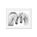 Picture of Face Off Horses _GroupedProduct_Rectangle_Landscape_Photography _GroupedProduct_Rectangle_Landscape_Framed_Matted_