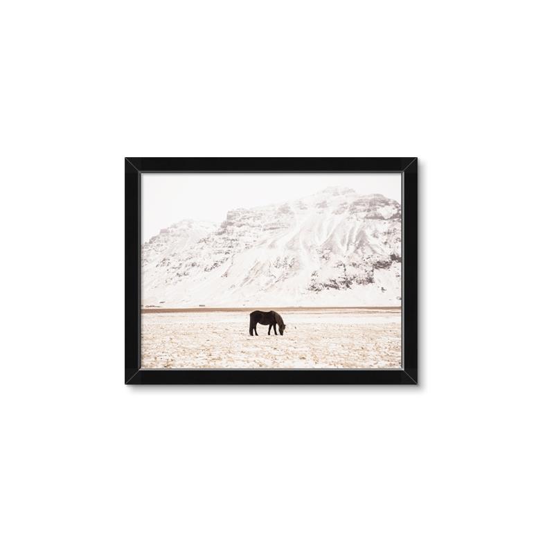 Picture of Horse in Field  _GroupedProduct_Rectangle_Landscape_Photography _GroupedProduct_Rectangle_Landscape_Framed_Matted_