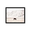 Picture of Horse in Field  _GroupedProduct_Rectangle_Landscape_Photography _GroupedProduct_Rectangle_Landscape_Framed_Matted_
