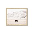Picture of Horse in Field  _GroupedProduct_Rectangle_Landscape_Photography _GroupedProduct_Rectangle_Landscape_Framed_Matted_