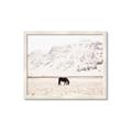 Picture of Horse in Field  _GroupedProduct_Rectangle_Landscape_Photography _GroupedProduct_Rectangle_Landscape_Framed_Matted_