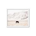 Picture of Horse in Field  _GroupedProduct_Rectangle_Landscape_Photography _GroupedProduct_Rectangle_Landscape_Framed_Matted_