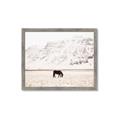 Picture of Horse in Field  _GroupedProduct_Rectangle_Landscape_Photography _GroupedProduct_Rectangle_Landscape_Framed_Matted_
