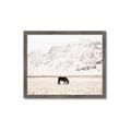 Picture of Horse in Field  _GroupedProduct_Rectangle_Landscape_Photography _GroupedProduct_Rectangle_Landscape_Framed_Matted_