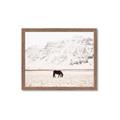 Picture of Horse in Field  _GroupedProduct_Rectangle_Landscape_Photography _GroupedProduct_Rectangle_Landscape_Framed_Matted_