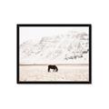 Picture of Horse in Field  _GroupedProduct_Rectangle_Landscape_Photography _GroupedProduct_Rectangle_Landscape_Framed_Matted_