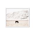 Picture of Horse in Field  _GroupedProduct_Rectangle_Landscape_Photography _GroupedProduct_Rectangle_Landscape_Framed_Matted_