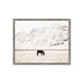 Picture of Horse in Field  _GroupedProduct_Rectangle_Landscape_Photography _GroupedProduct_Rectangle_Landscape_Framed_Matted_