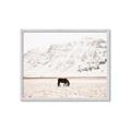 Picture of Horse in Field  _GroupedProduct_Rectangle_Landscape_Photography _GroupedProduct_Rectangle_Landscape_Framed_Matted_