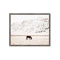 Picture of Horse in Field  _GroupedProduct_Rectangle_Landscape_Photography _GroupedProduct_Rectangle_Landscape_Framed_Matted_