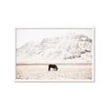 Picture of Horse in Field  _GroupedProduct_Rectangle_Landscape_Photography _GroupedProduct_Rectangle_Landscape_Framed_Matted_