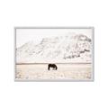 Picture of Horse in Field  _GroupedProduct_Rectangle_Landscape_Photography _GroupedProduct_Rectangle_Landscape_Framed_Matted_