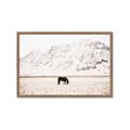 Picture of Horse in Field  _GroupedProduct_Rectangle_Landscape_Photography _GroupedProduct_Rectangle_Landscape_Framed_Matted_