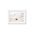 Picture of Horse in Field  _GroupedProduct_Rectangle_Landscape_Photography _GroupedProduct_Rectangle_Landscape_Framed_Matted_
