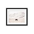 Picture of Horse in Field  _GroupedProduct_Rectangle_Landscape_Photography _GroupedProduct_Rectangle_Landscape_Framed_Matted_
