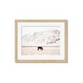 Picture of Horse in Field  _GroupedProduct_Rectangle_Landscape_Photography _GroupedProduct_Rectangle_Landscape_Framed_Matted_