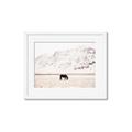 Picture of Horse in Field  _GroupedProduct_Rectangle_Landscape_Photography _GroupedProduct_Rectangle_Landscape_Framed_Matted_
