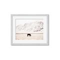 Picture of Horse in Field  _GroupedProduct_Rectangle_Landscape_Photography _GroupedProduct_Rectangle_Landscape_Framed_Matted_